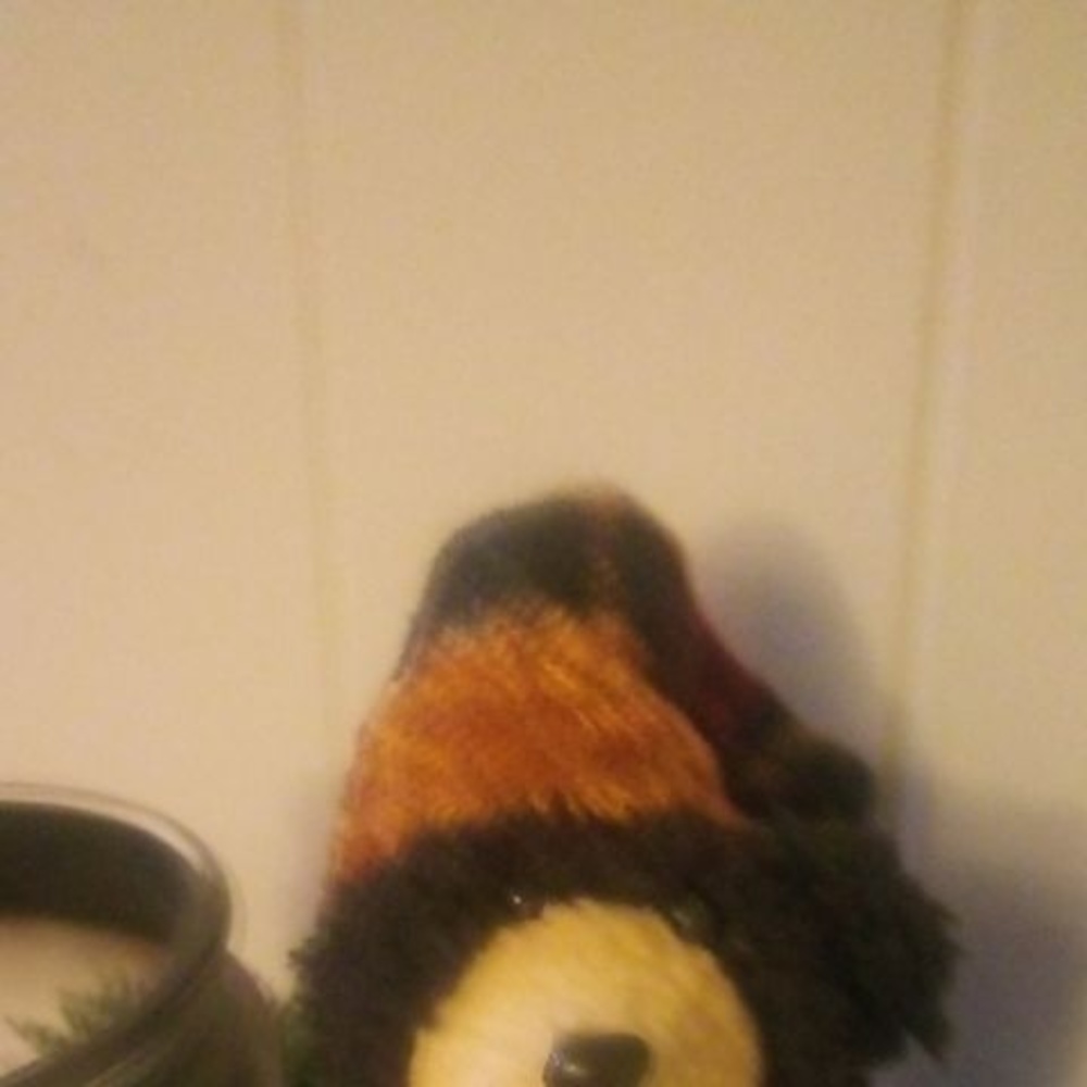 Meet your Posher, William